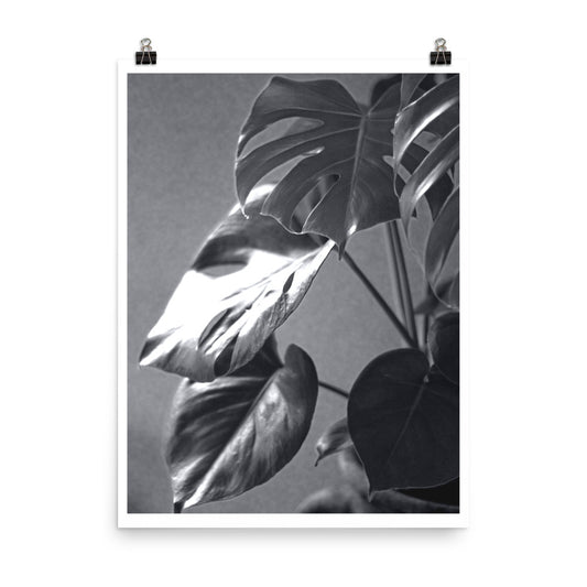 Monochrome Garden Art Poster Print