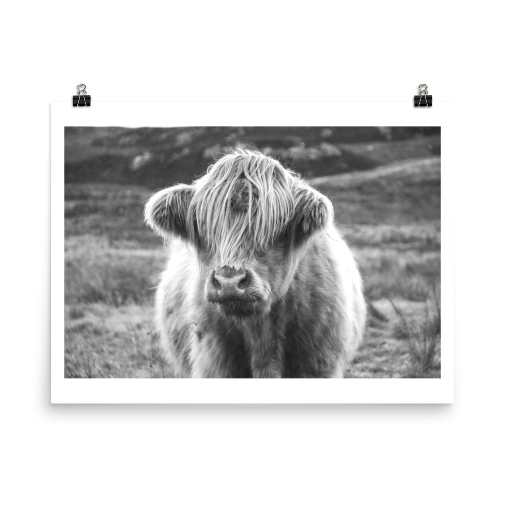 Black and White Highland Cow Framed Print