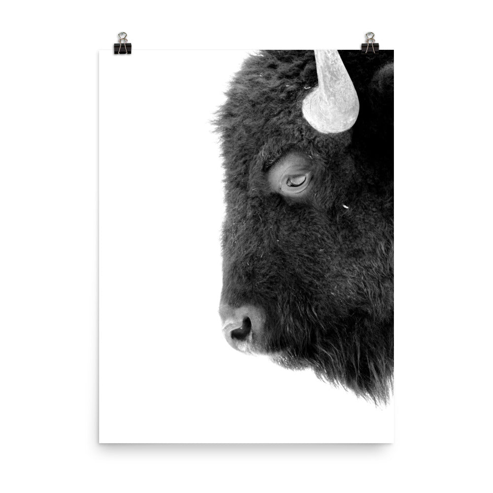 Mono Bison Framed Print