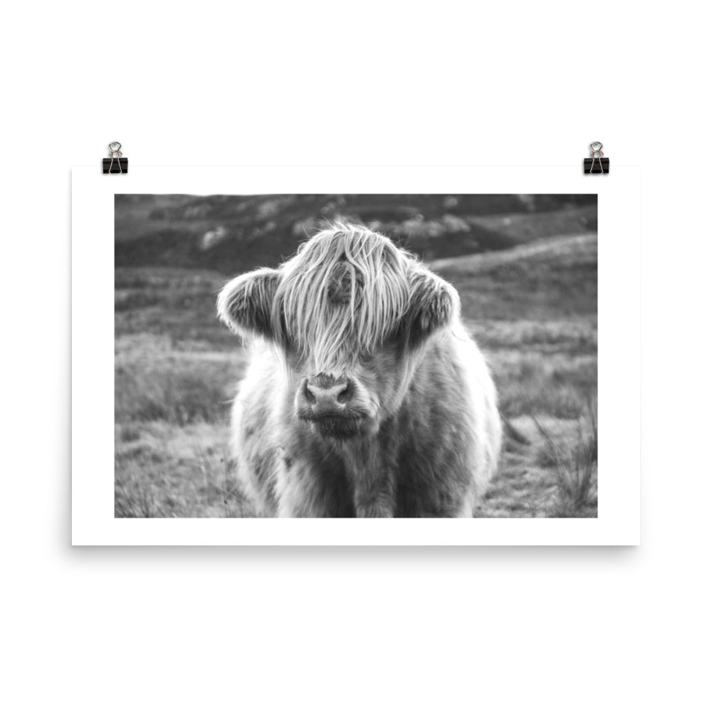 Black and White Highland Cow Framed Print