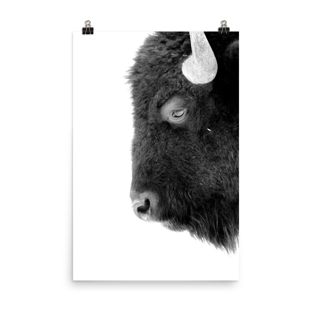 Mono Bison Framed Print