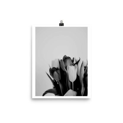 Black and White Blooms Poster Print