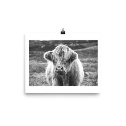 Black and White Highland Cow Framed Print