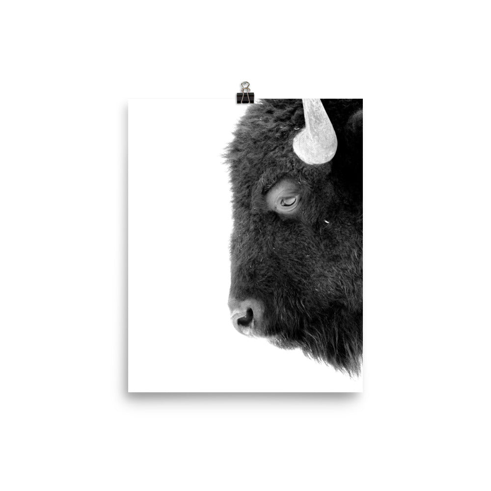 Mono Bison Framed Print