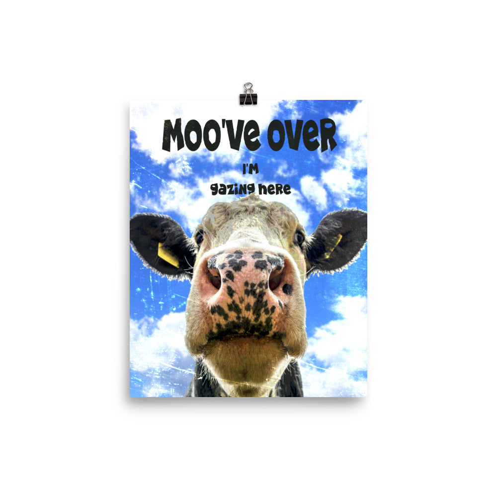 Gazing Cow Poster Print