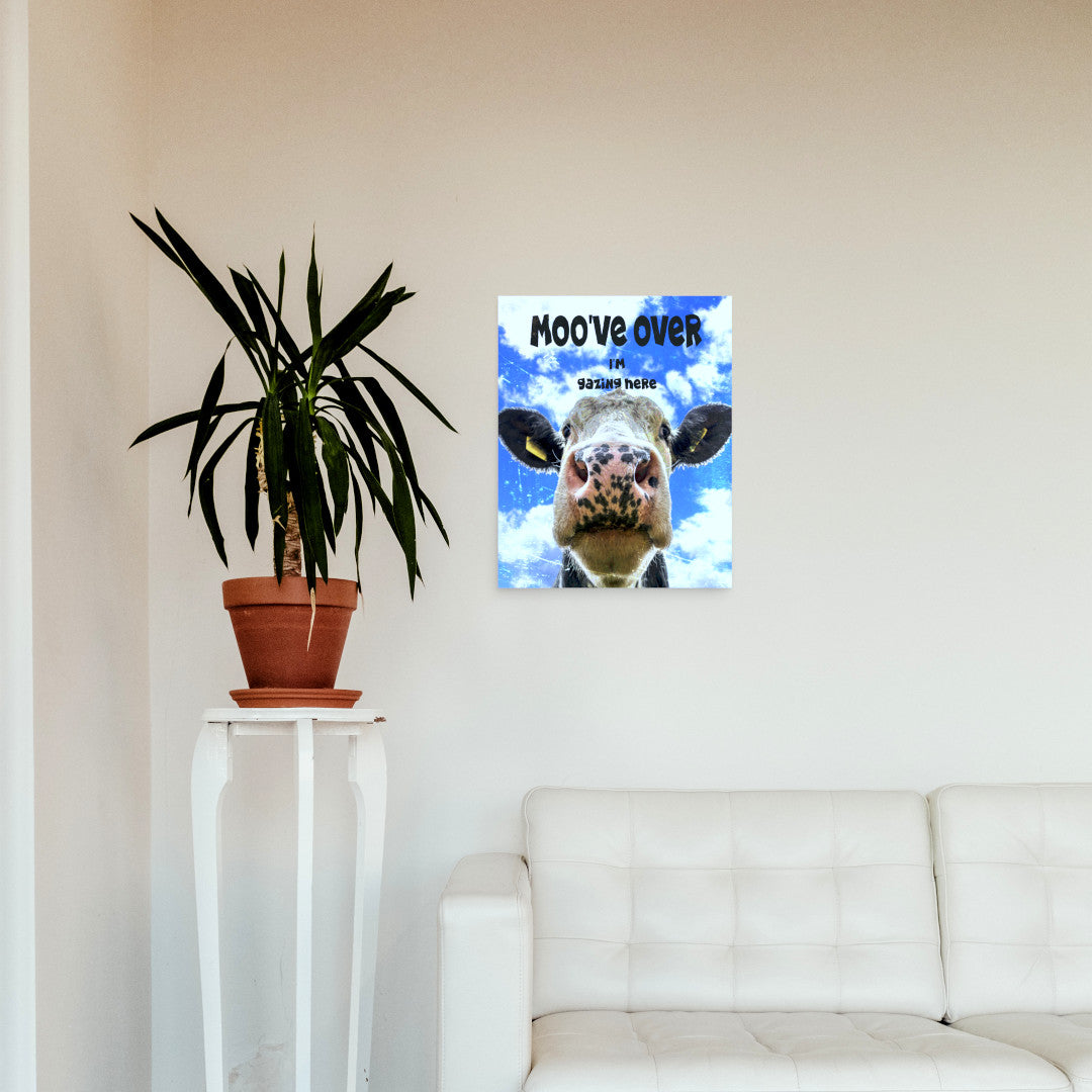 Gazing Cow Poster Print