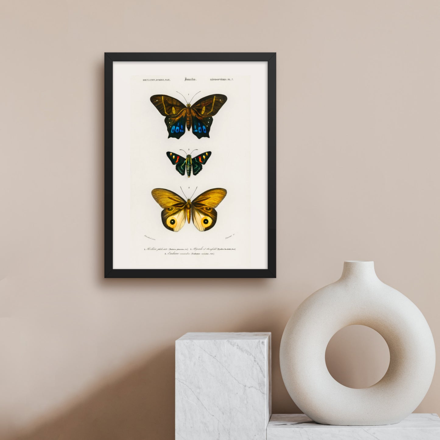 Butterflies Framed Print