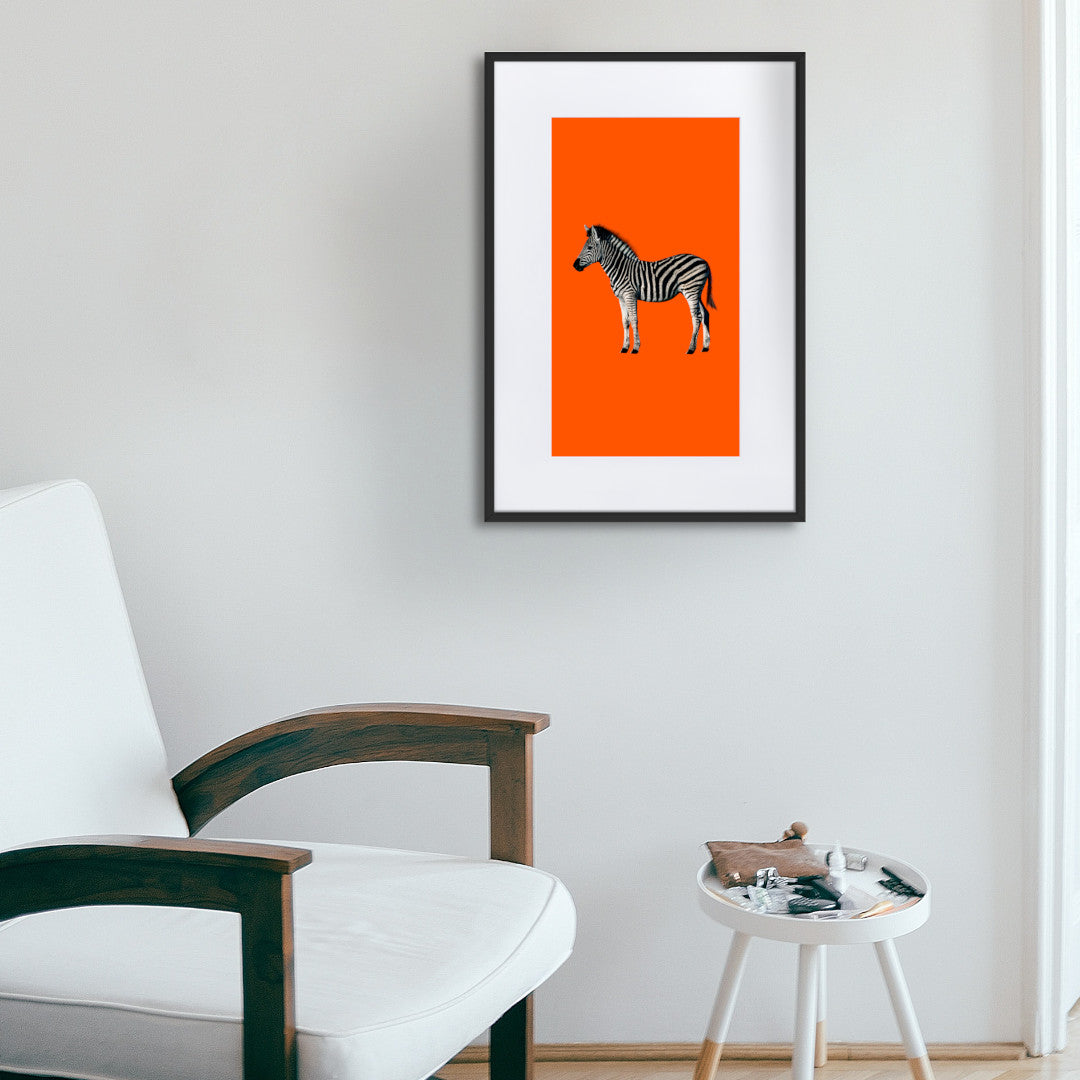 orange zebra framed print 