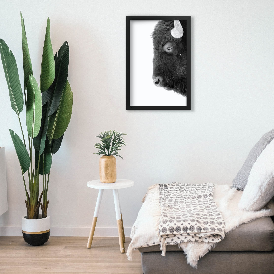 Mono Bison Framed Print