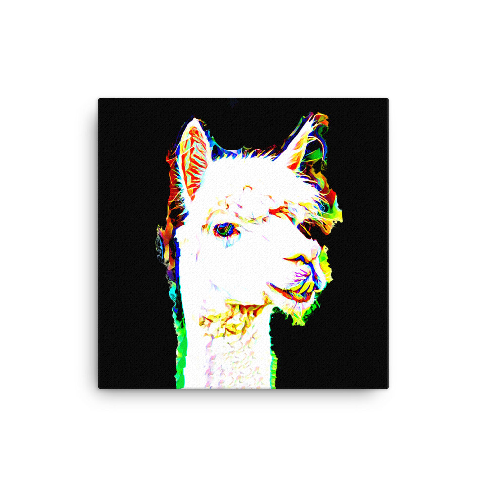 Llama in Colour Canvas Print