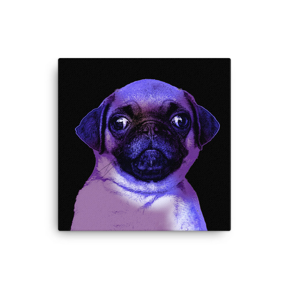 Pug Luminance Canvas Print