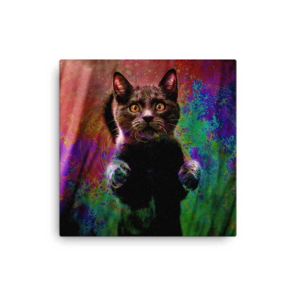 Illuminated Cat Canvas Print