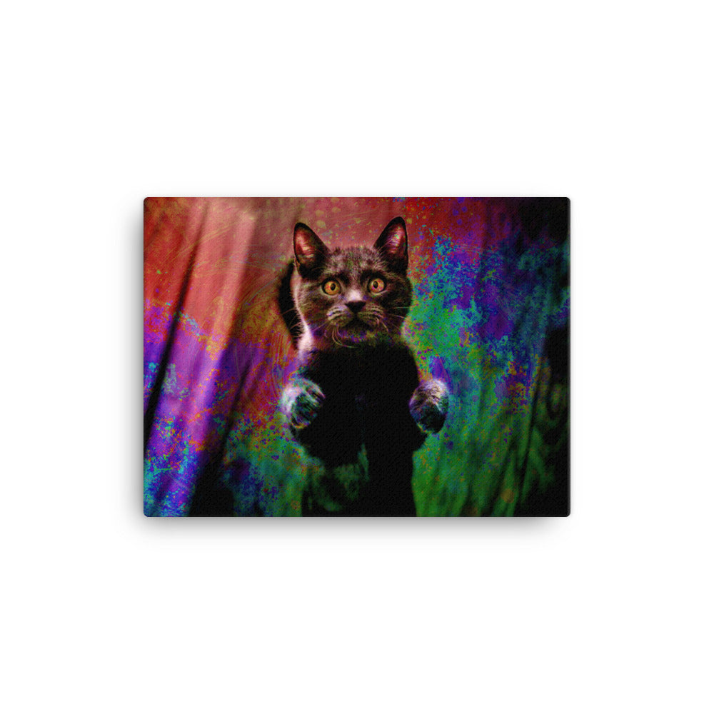 Illuminated Cat Canvas Print