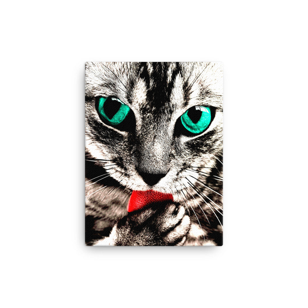 Cat Licking Paw Canvas Print