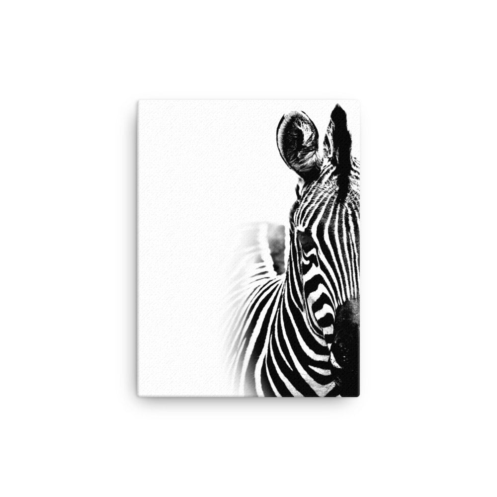 Striped Beauty Canvas Print