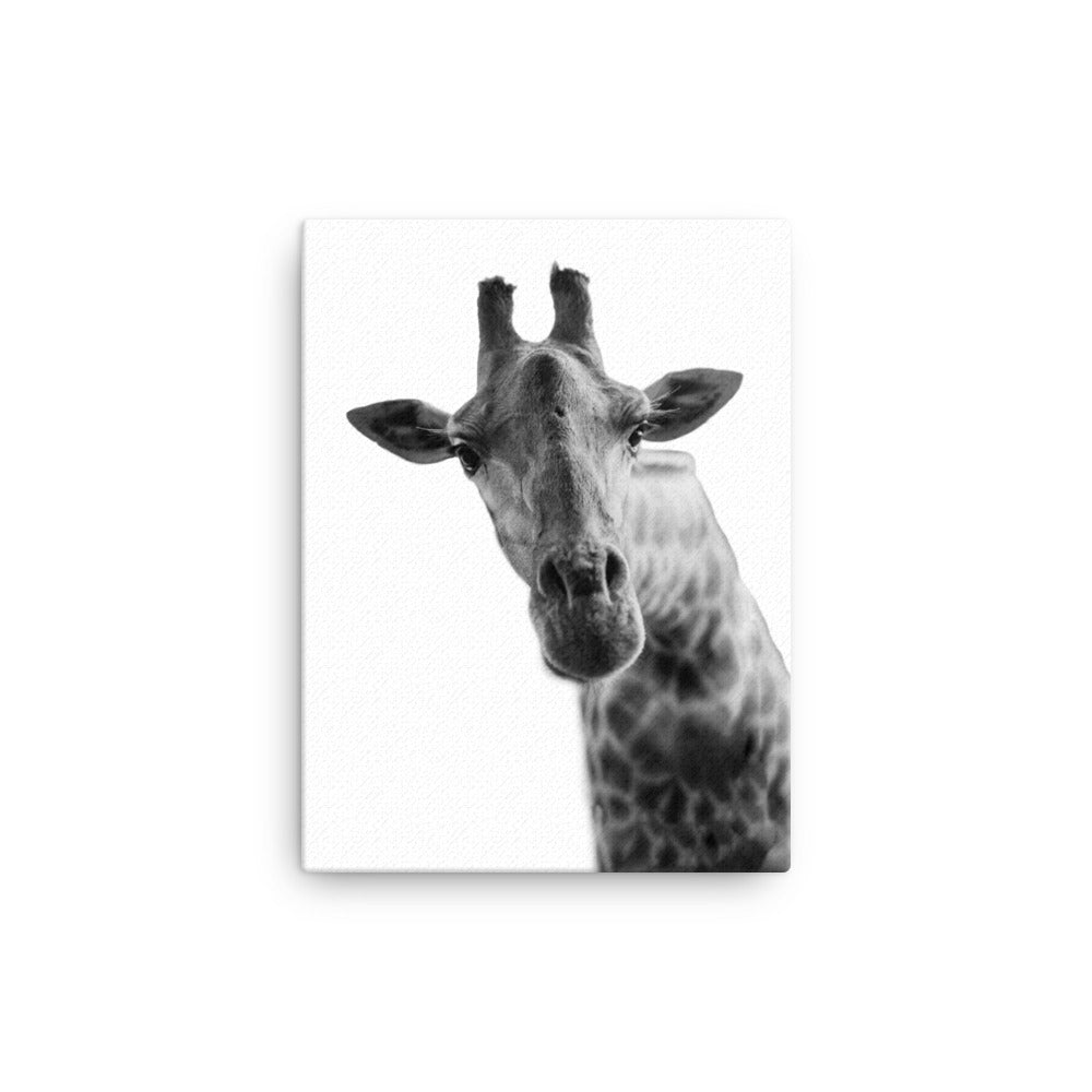 Giraffe: The Graceful Giant Canvas Print