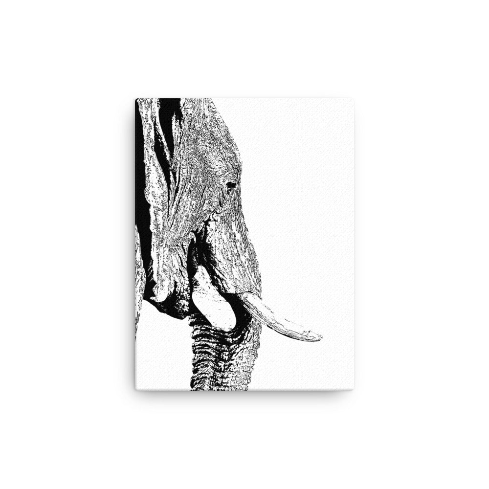 Elephant Elegance Canvas Print