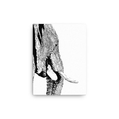 Elephant Elegance Canvas Print
