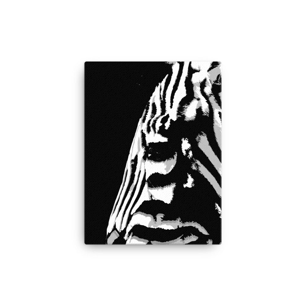 The Art of Stripes Canvas Print