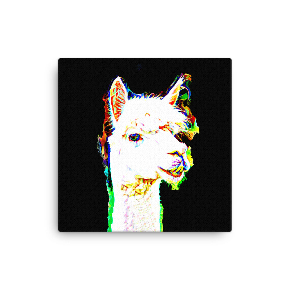 Llama in Colour Canvas Print