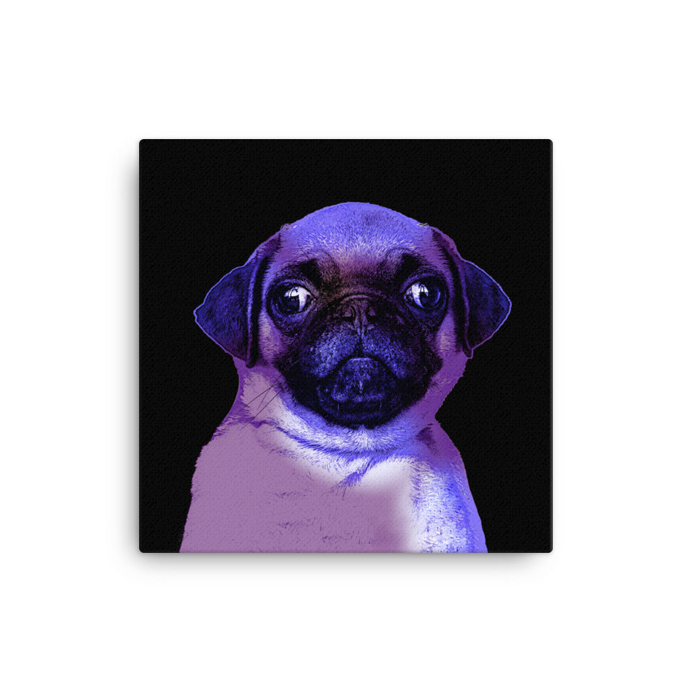 Pug Luminance Canvas Print