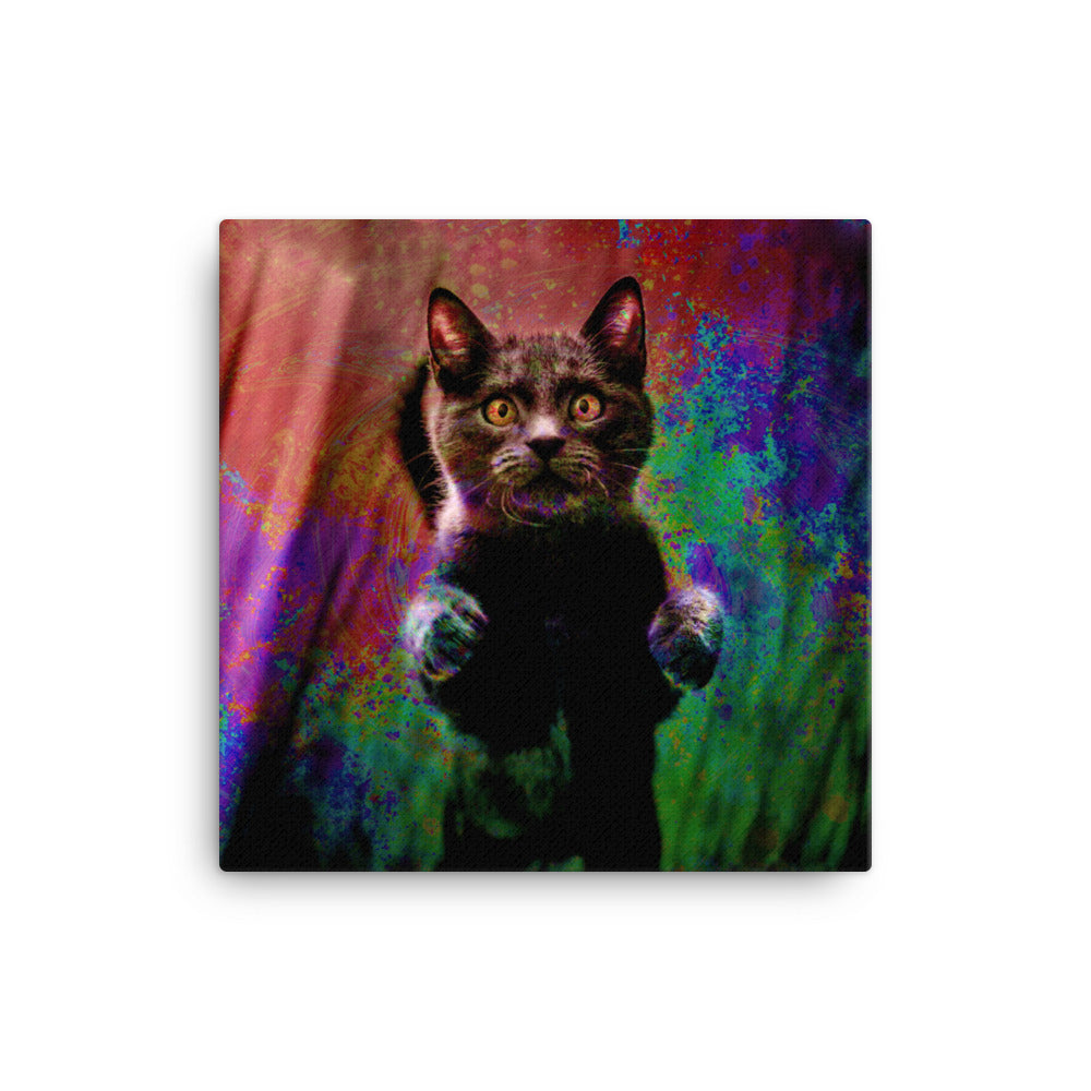 Illuminated Cat Canvas Print