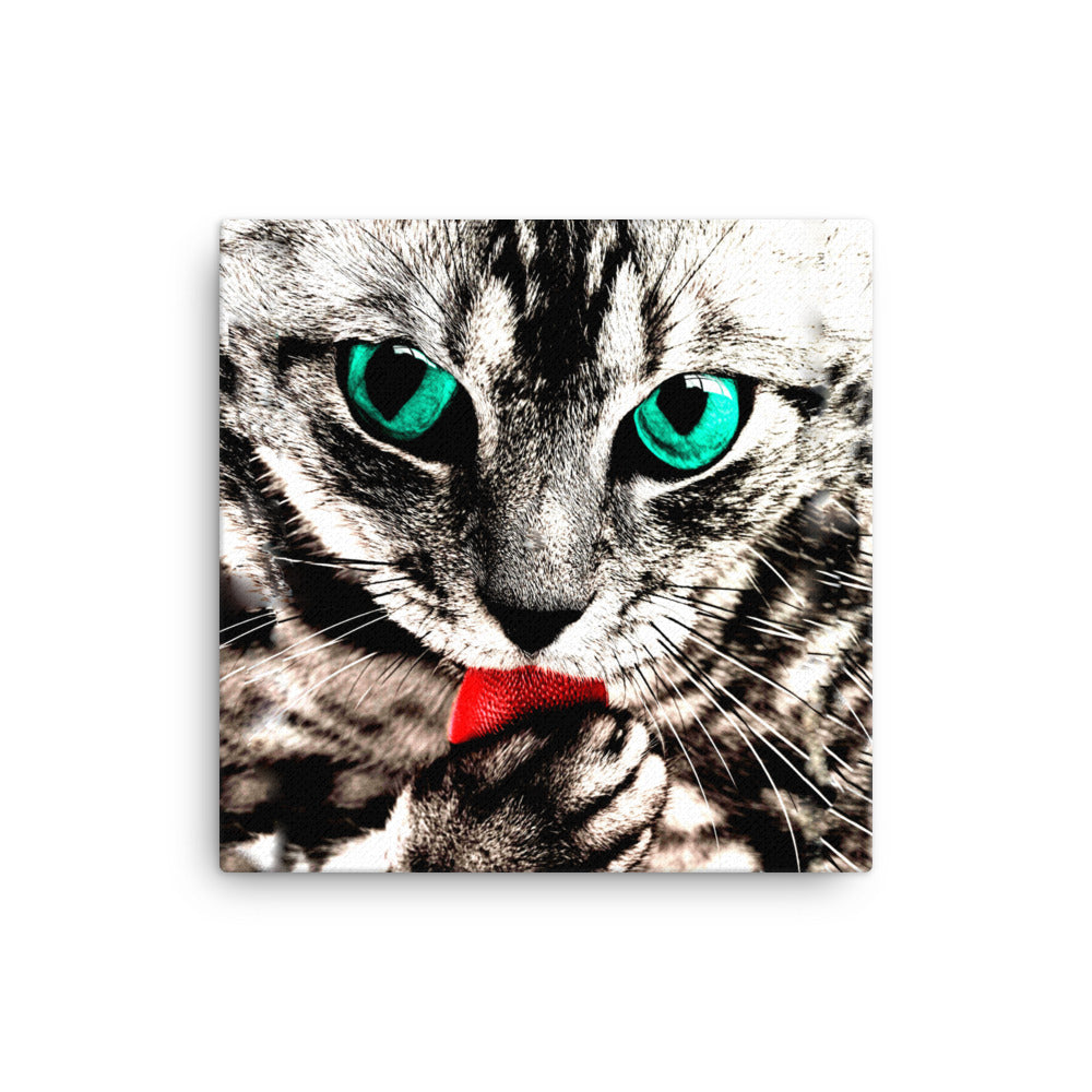 Cat Licking Paw Canvas Print