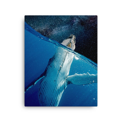 Whale in Space Canvas Print