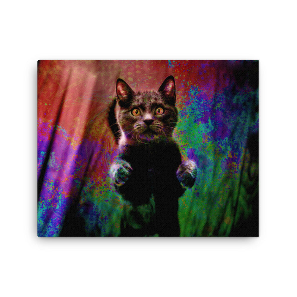 Illuminated Cat Canvas Print