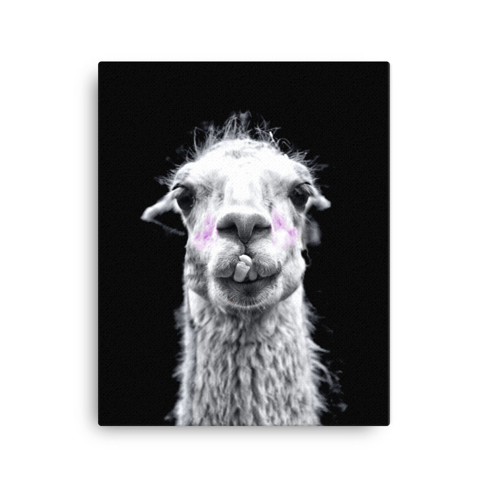 Intrigued Llama Canvas Print