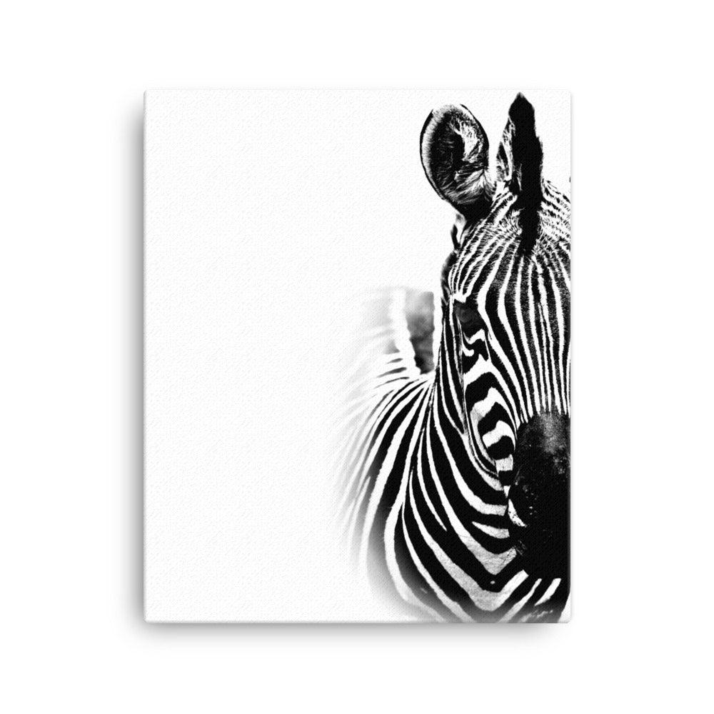 Striped Beauty Canvas Print