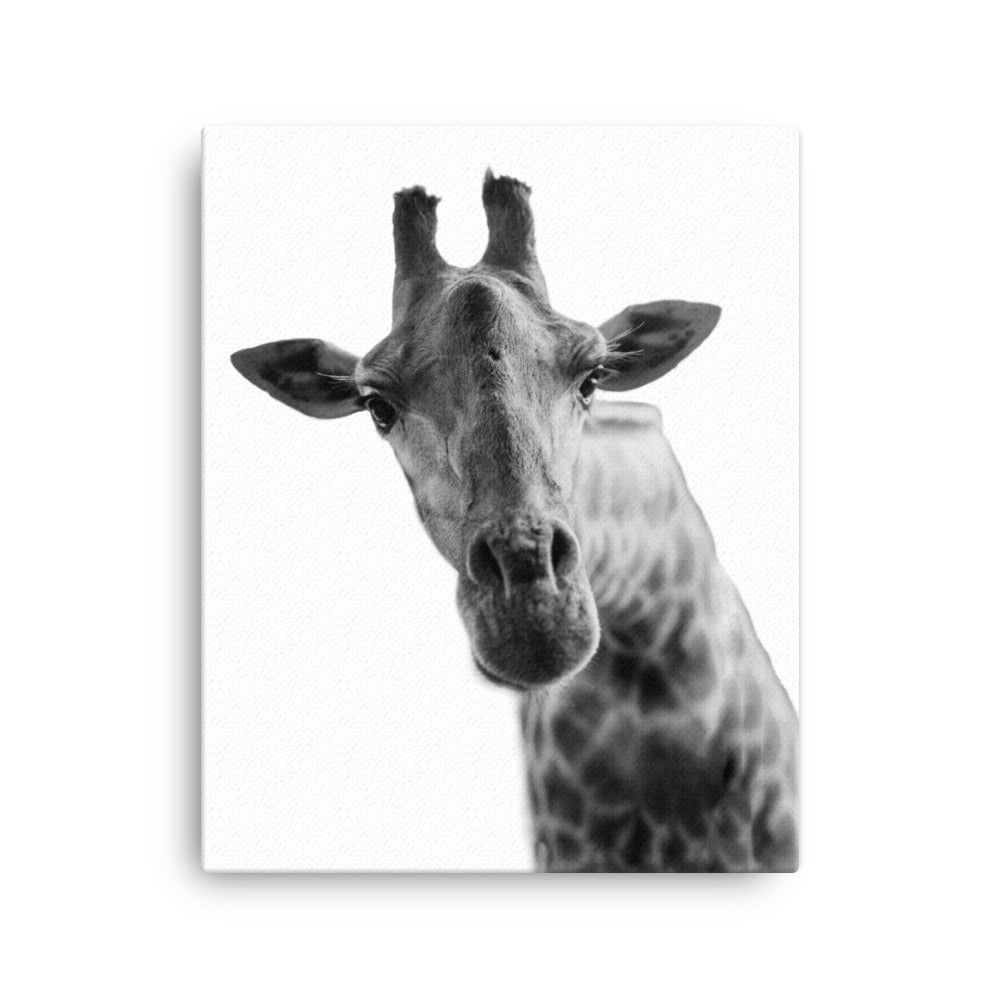 Giraffe: The Graceful Giant Canvas Print