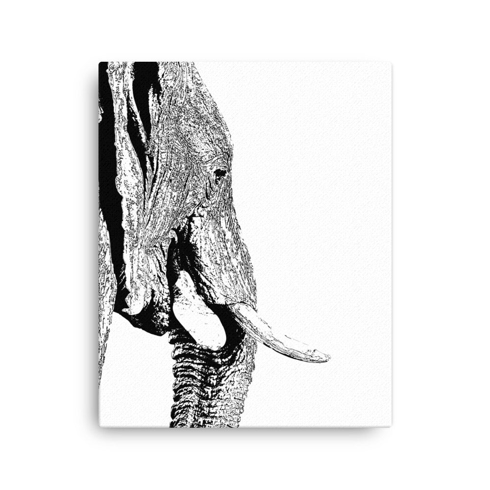 Elephant Elegance Canvas Print