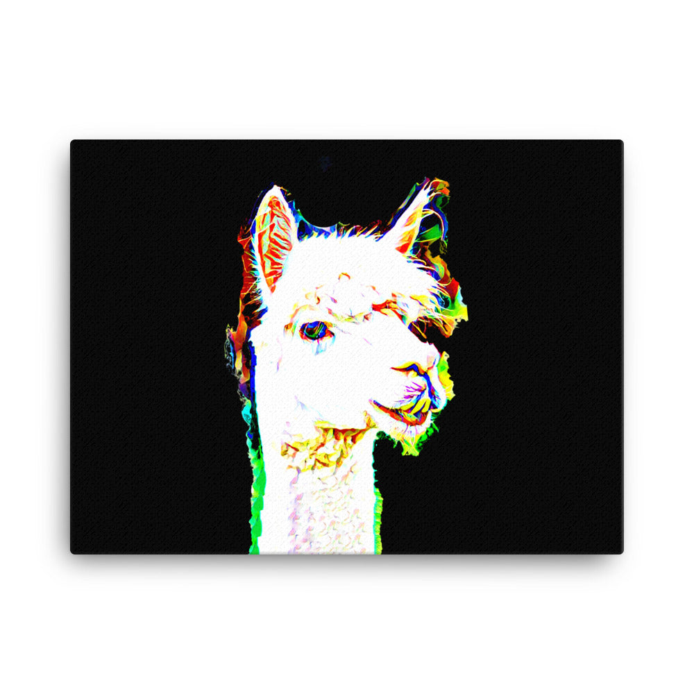 Llama in Colour Canvas Print