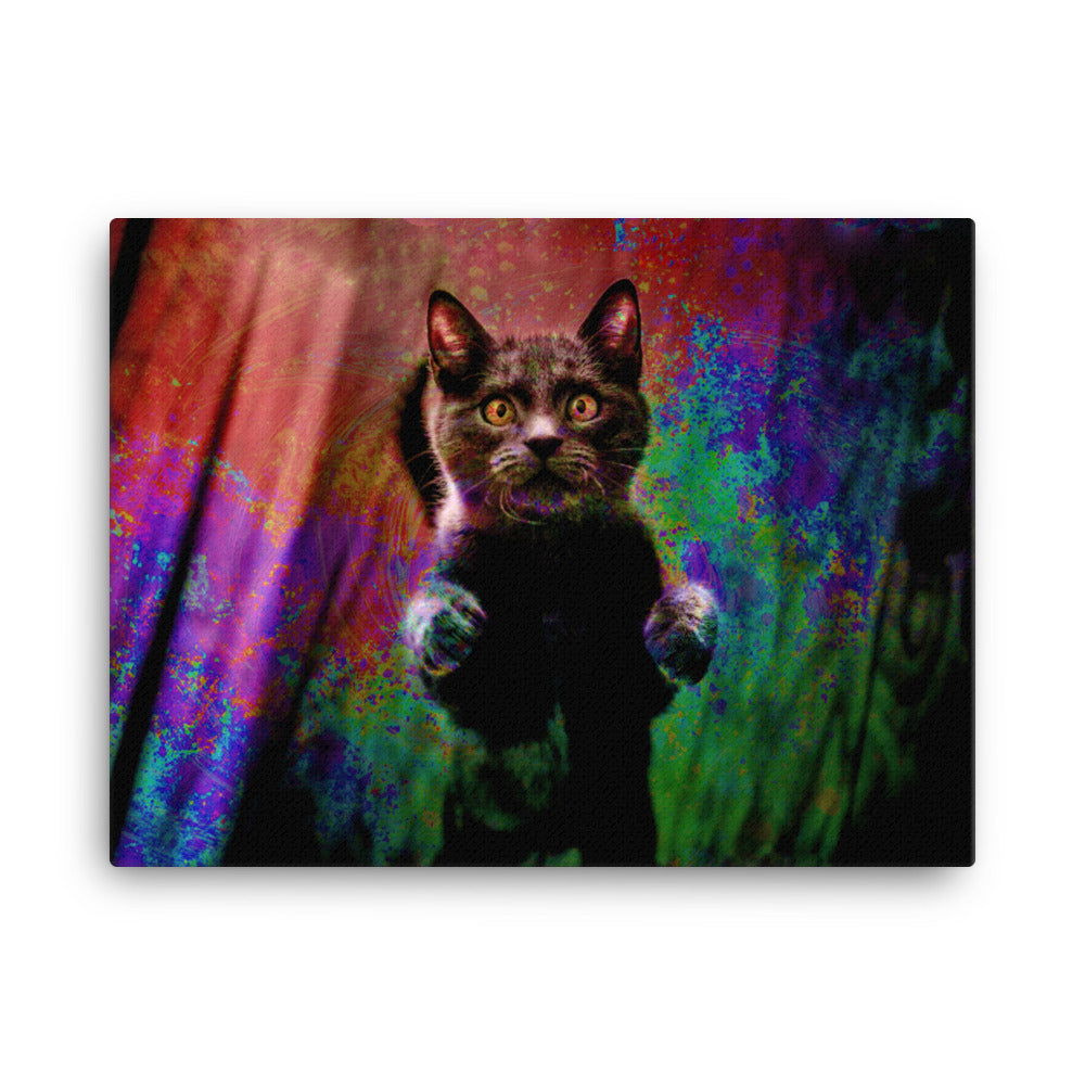 Illuminated Cat Canvas Print