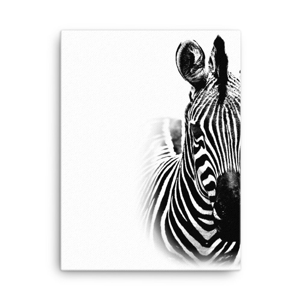 Striped Beauty Canvas Print