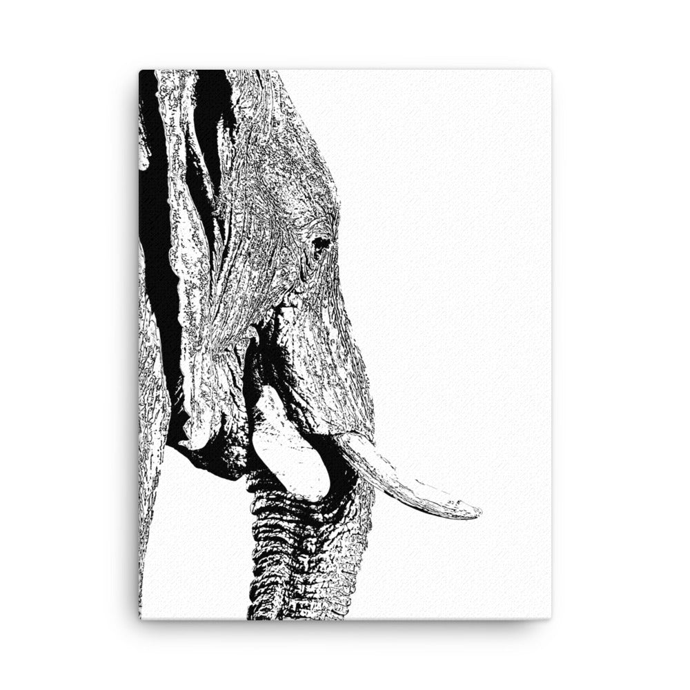 Elephant Elegance Canvas Print