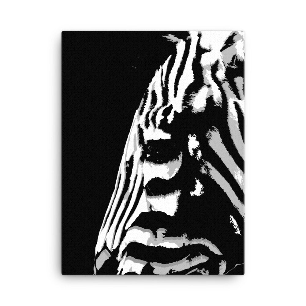 The Art of Stripes Canvas Print