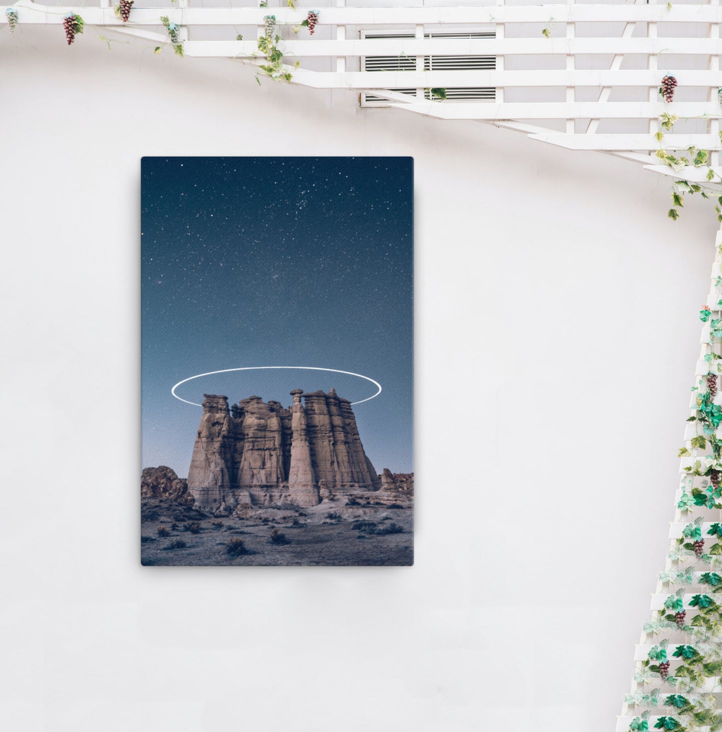 Desert Space Canvas Print