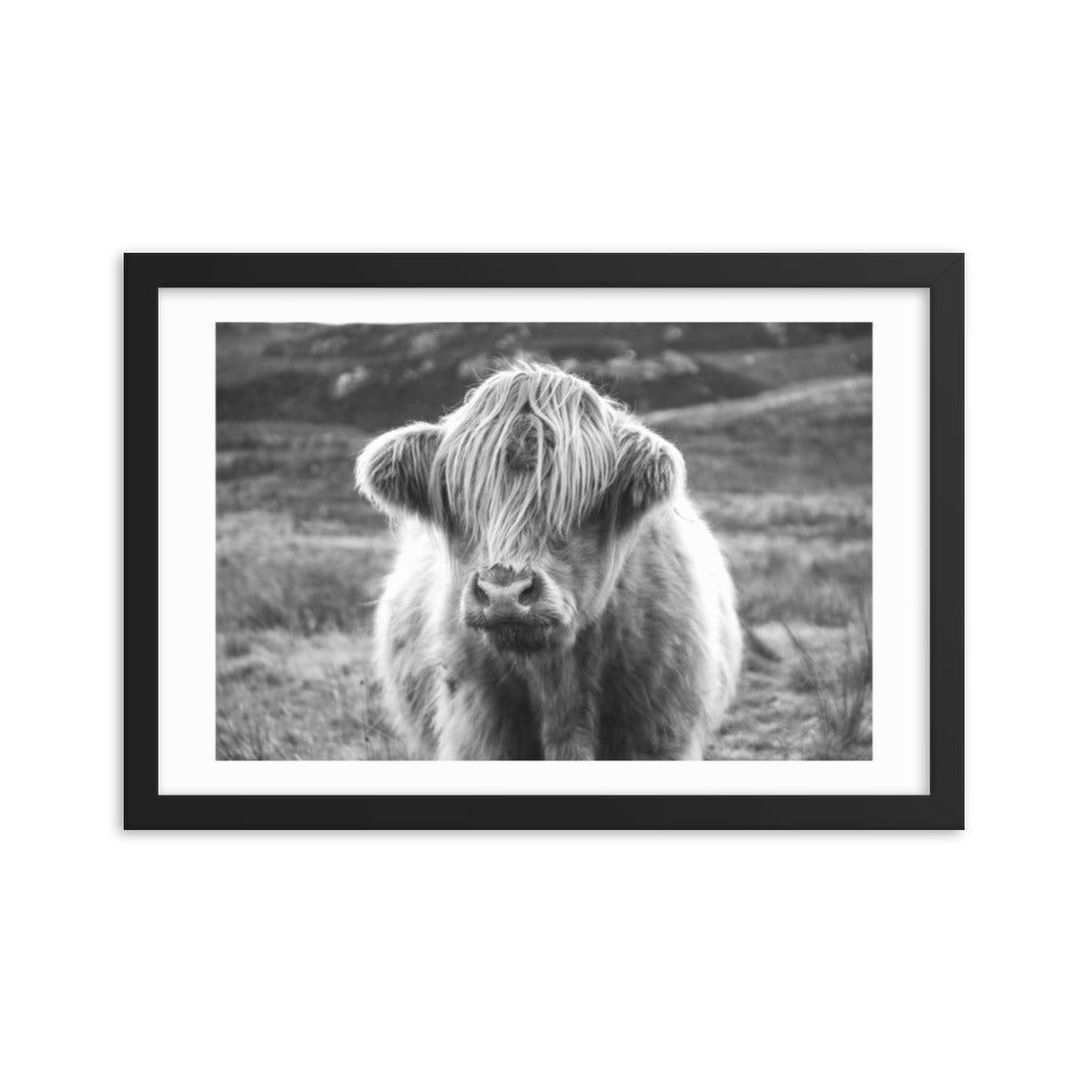 Black and White Highland Cow Framed Print