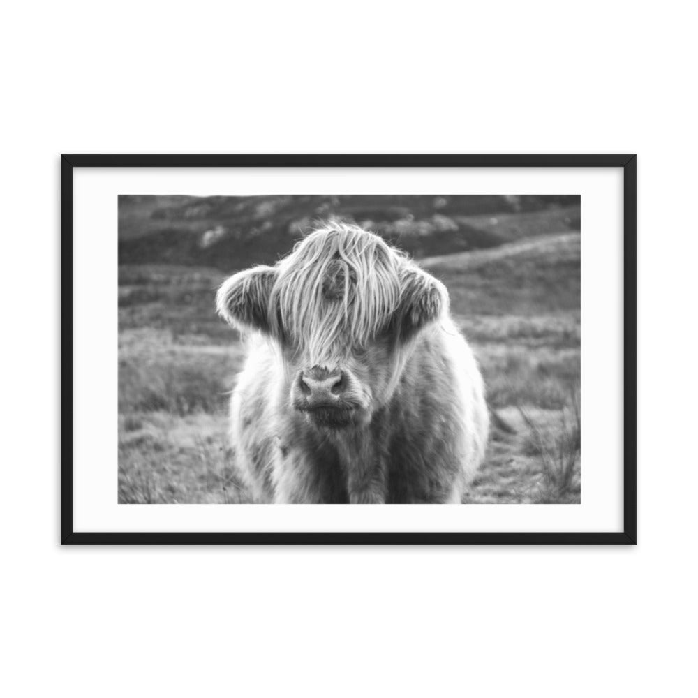 Black and White Highland Cow Framed Print