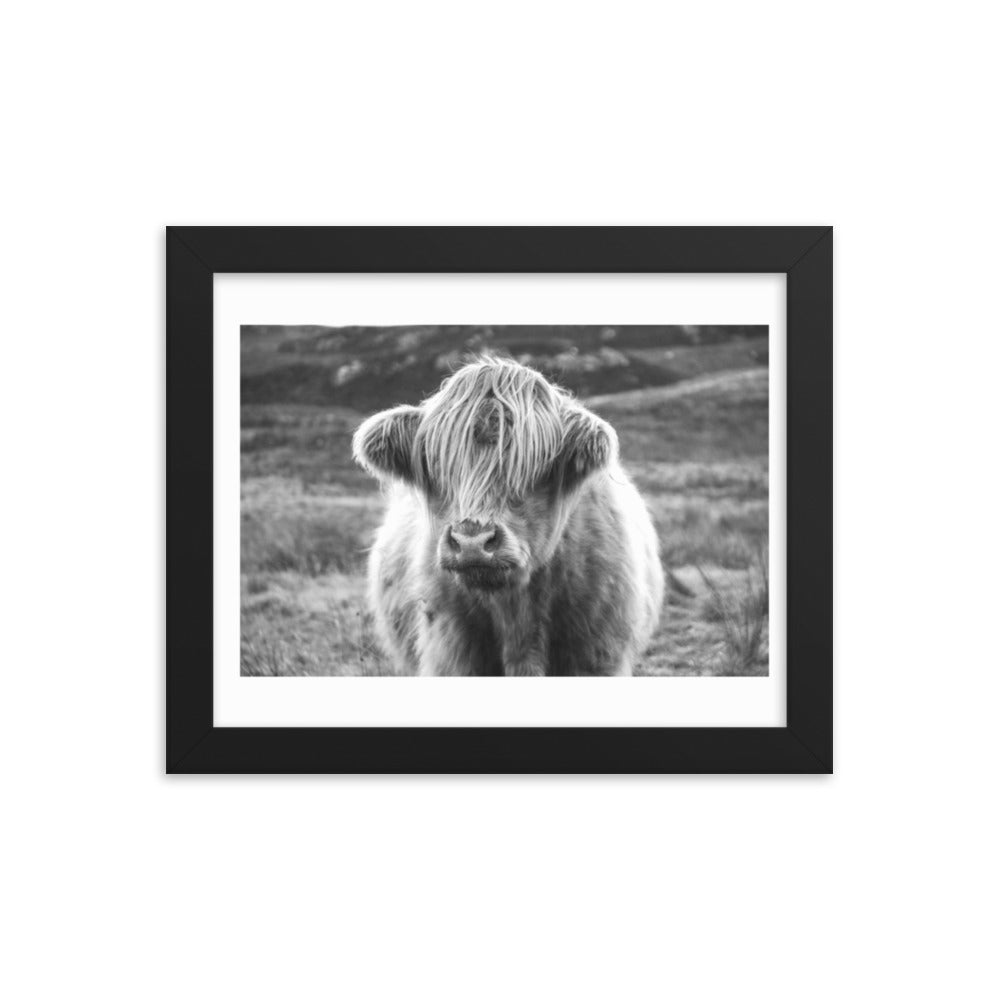 Black and White Highland Cow Framed Print