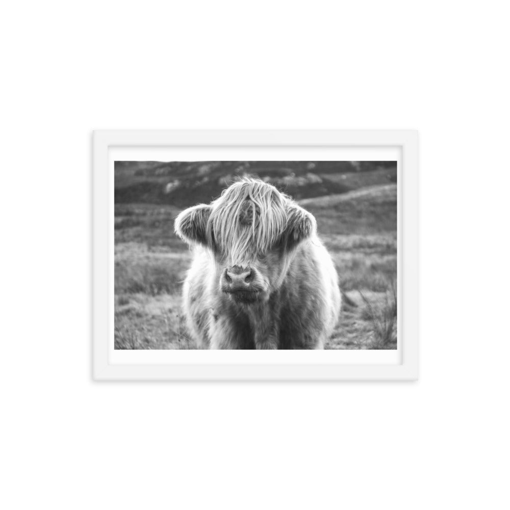 Black and White Highland Cow Framed Print