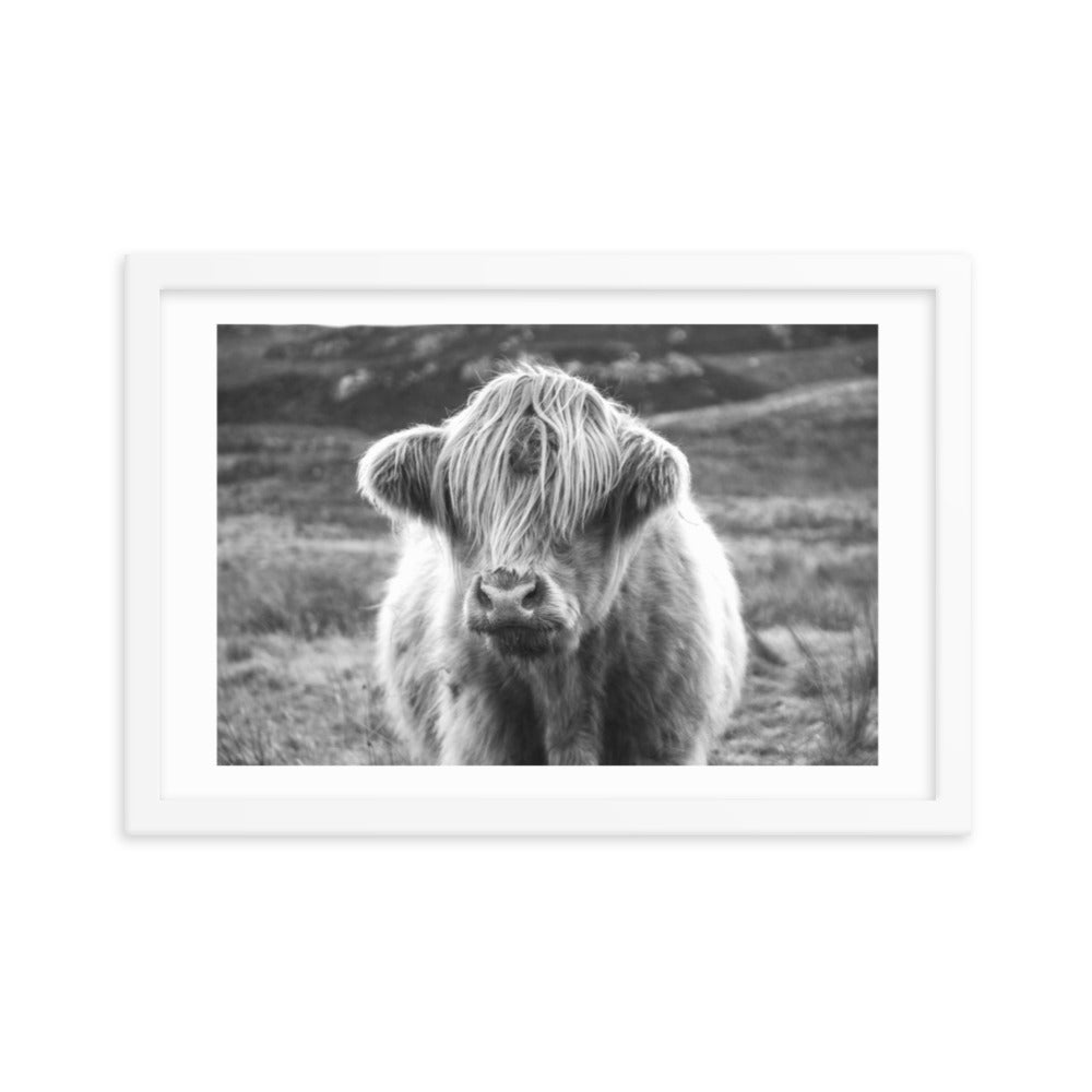 Black and White Highland Cow Framed Print