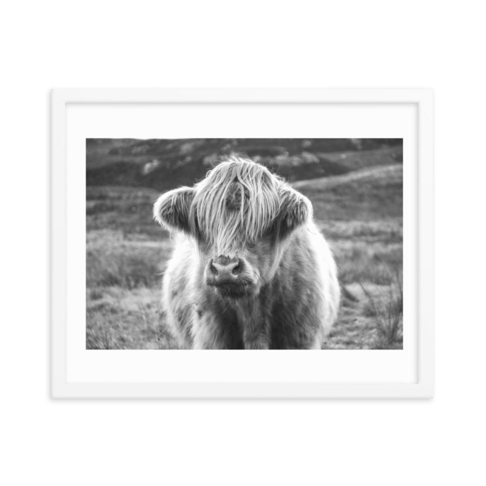 Black and White Highland Cow Framed Print