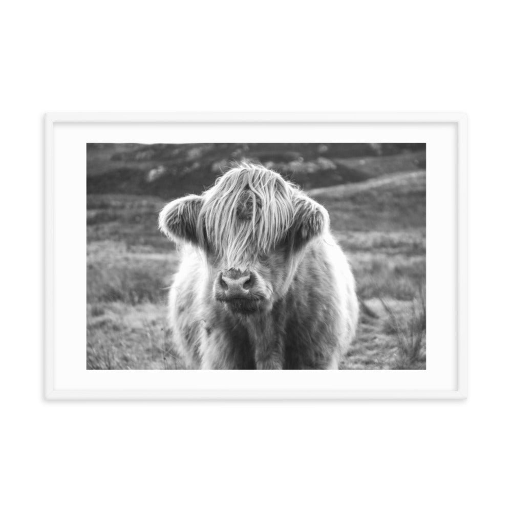 Black and White Highland Cow Framed Print