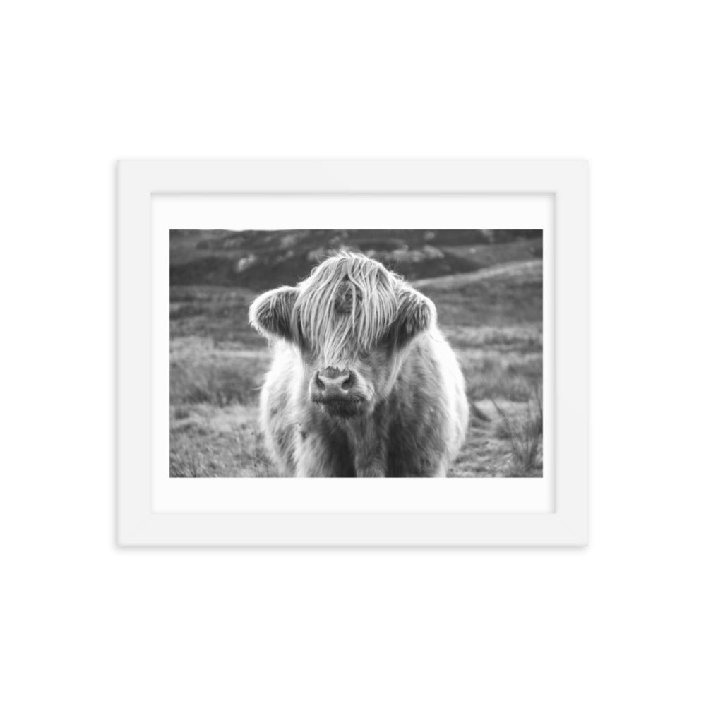 Black and White Highland Cow Framed Print