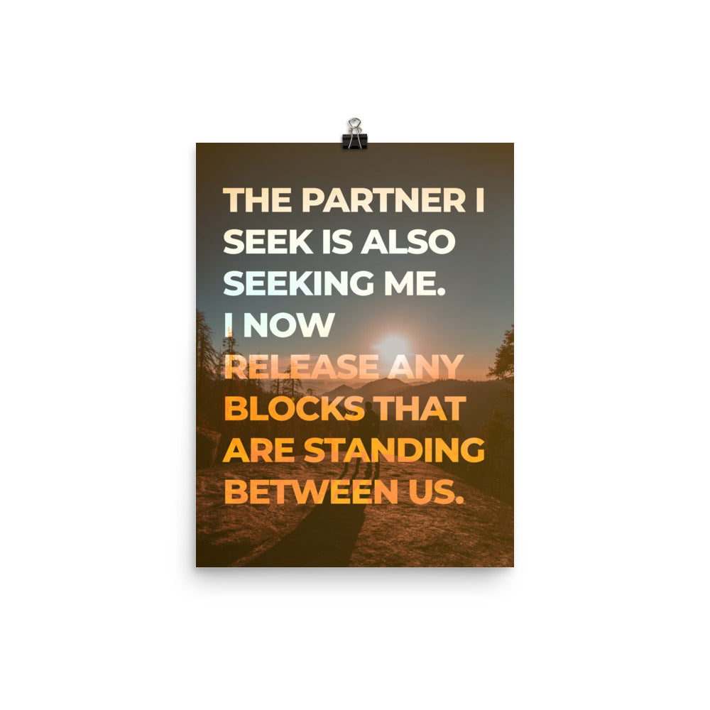 The Partner I Seek Poster Print