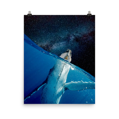 Whale in Space Poster Print