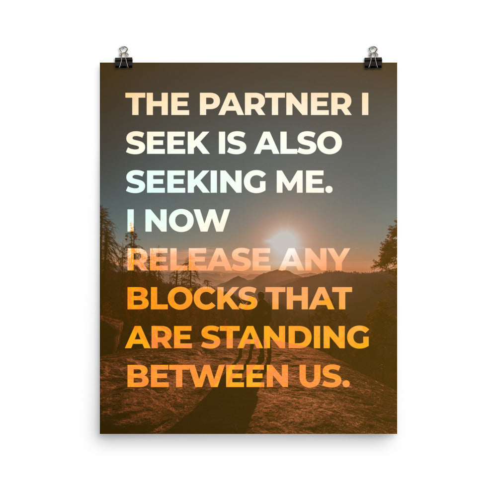 The Partner I Seek Poster Print